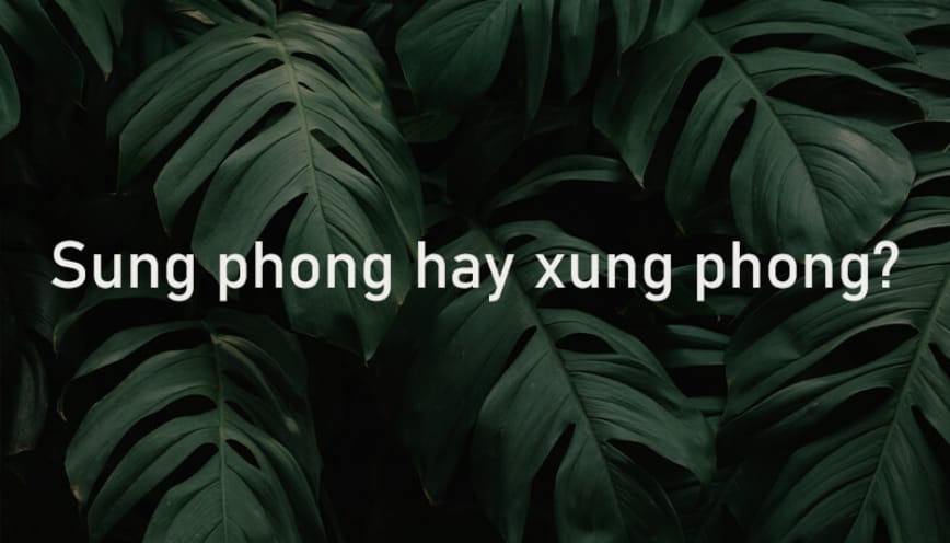 Từ “xung phong” thường bị nhầm lẫn