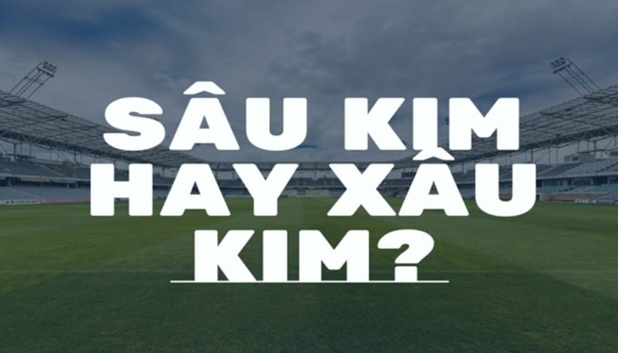 “Xâu kim” là gì? Ý nghĩa và cách dùng đúng