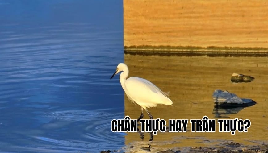 Chân thực hay trân thực? Liệu từ nào mới chuẩn ngữ pháp