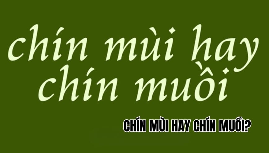 Chín muồi hay chín mùi là đúng? Cách dùng từ chuẩn mực nhất