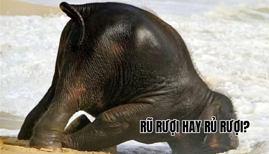Rũ rượi hay rủ rượi là đúng? Cách phân biệt và sử dụng chuẩn