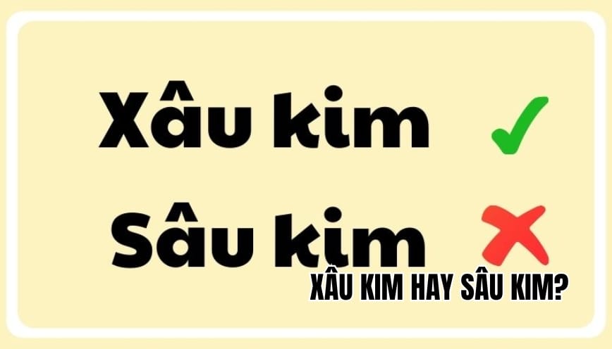 Xâu kim hay sâu kim? Cách viết đúng & giải thích cực chuẩn