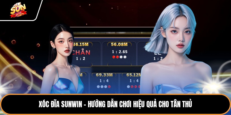 Xóc Đĩa Sunwin - Hướng Dẫn Chơi Hiệu Quả Cho Tân Thủ