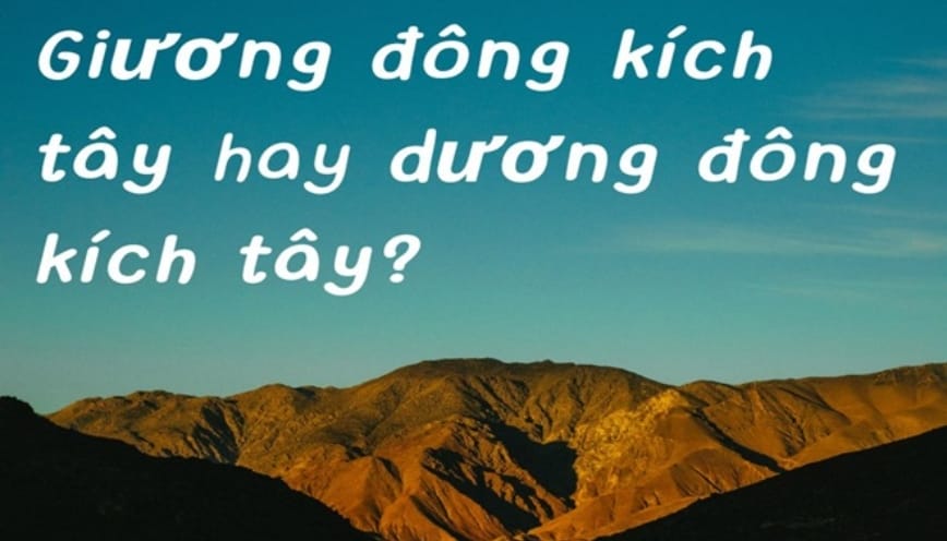 “Giương đông kích tây hay dương đông kích tây” đâu mới đúng?