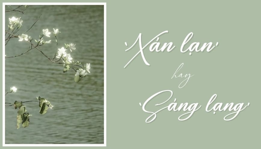 Phân biệt một số từ dễ nhầm với “xán lạn”