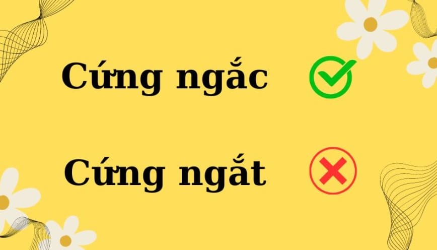 Trả lời “cứng ngắc hay cứng nhắc” dùng từ nào đúng?