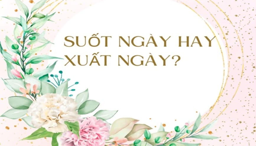 Trả lời “xuất ngày hay suốt ngày” từ nào đúng