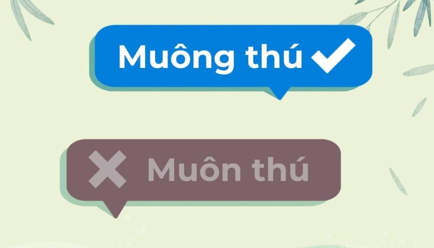 Âm tiết "Muông" trong kho tàng Hán - Nôm