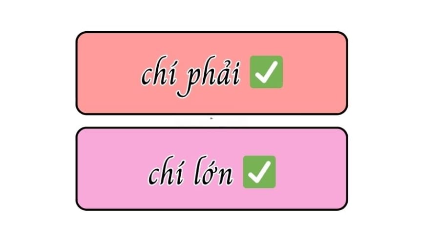 Chí phải là cách viết đúng chính tả