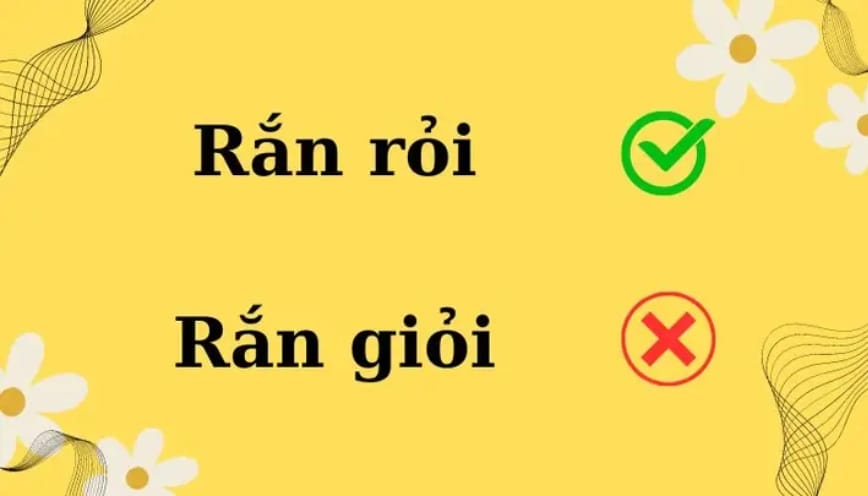 Ghi nhớ từ đúng qua thói quen đọc