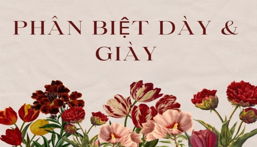 Khám phá các mặt nghĩa của từ “dày”