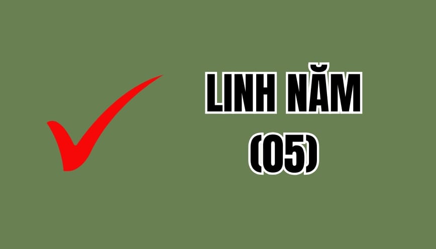 Linh năm là cách viết đúng chính tả