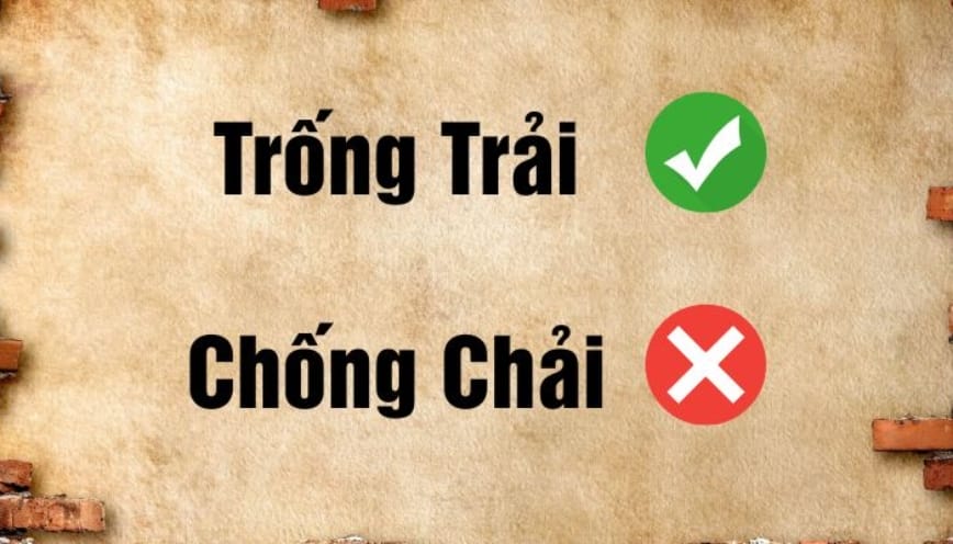 Từ chống chải không tồn tại trong từ điển tiếng Việt