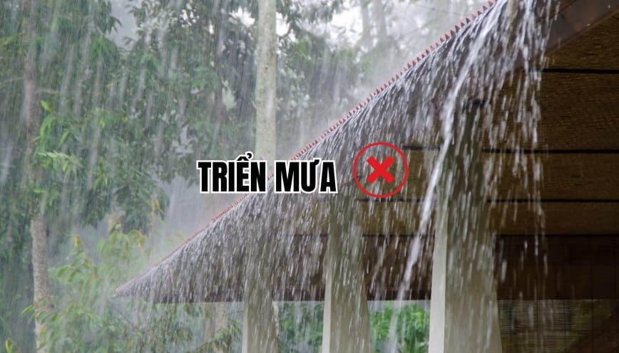 Từ triển mưa không thể được sử dụng