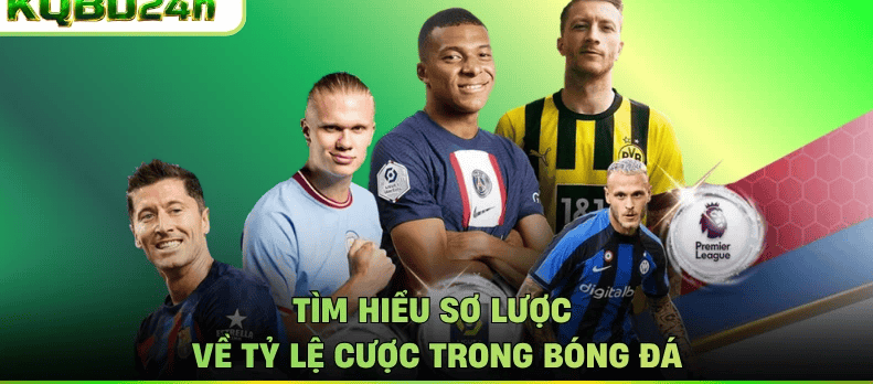 Bức tranh giải đấu: Đặc trưng, nhịp độ và sức hút riêng biệt