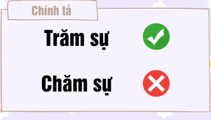 Giải nghĩa chi tiết từ “trăm sự”