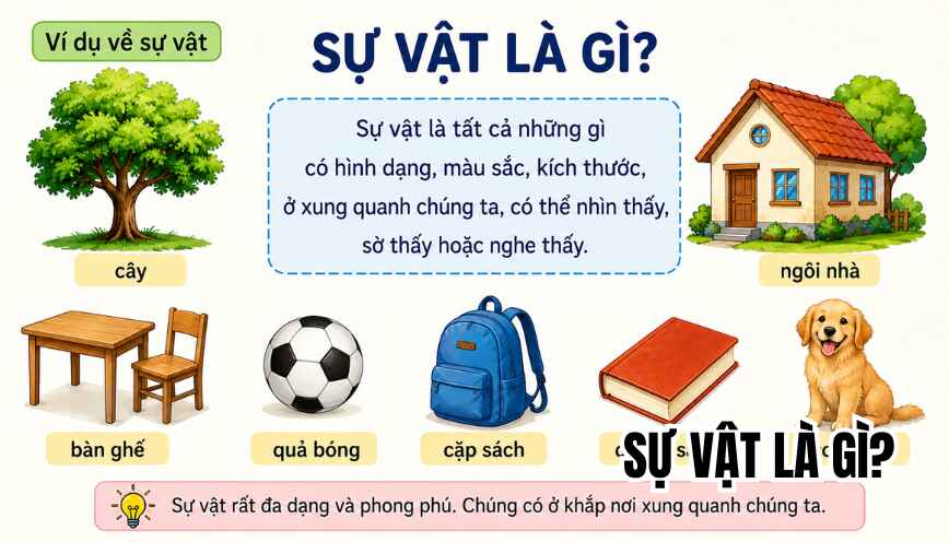 Sự vật là gì