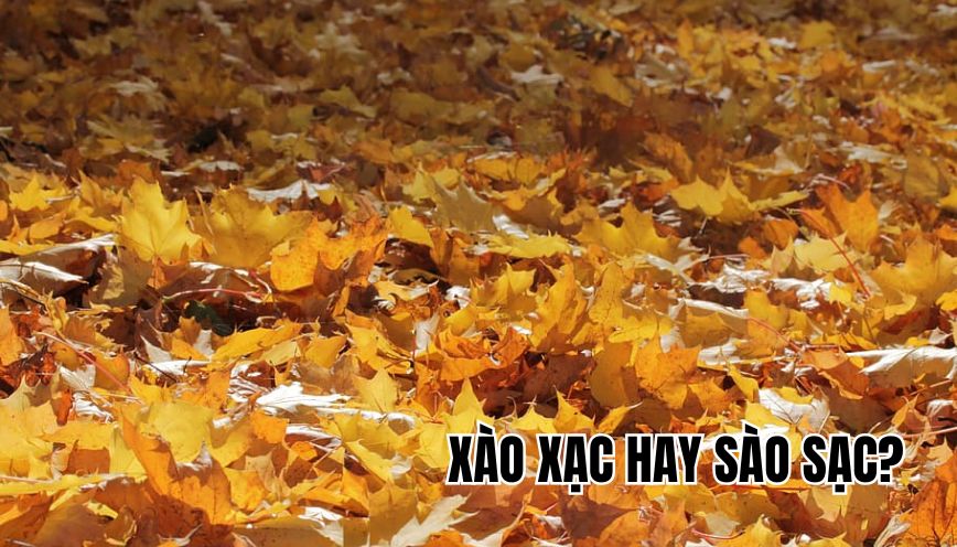 xào xạc hay sào sạc