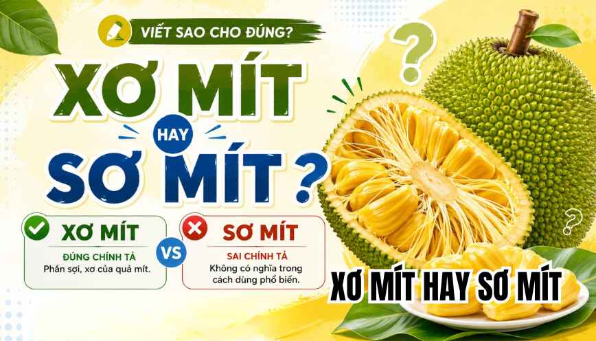 Xơ mít hay sơ mít