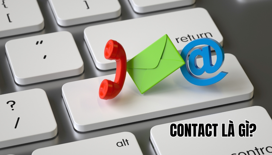 Contact là gì?
