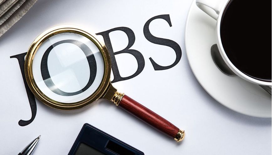 Phân biệt rõ ràng giữa Fresher và Intern