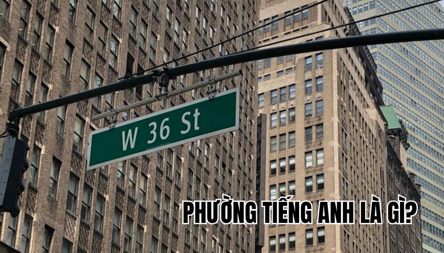 Phường tiếng Anh là gì?