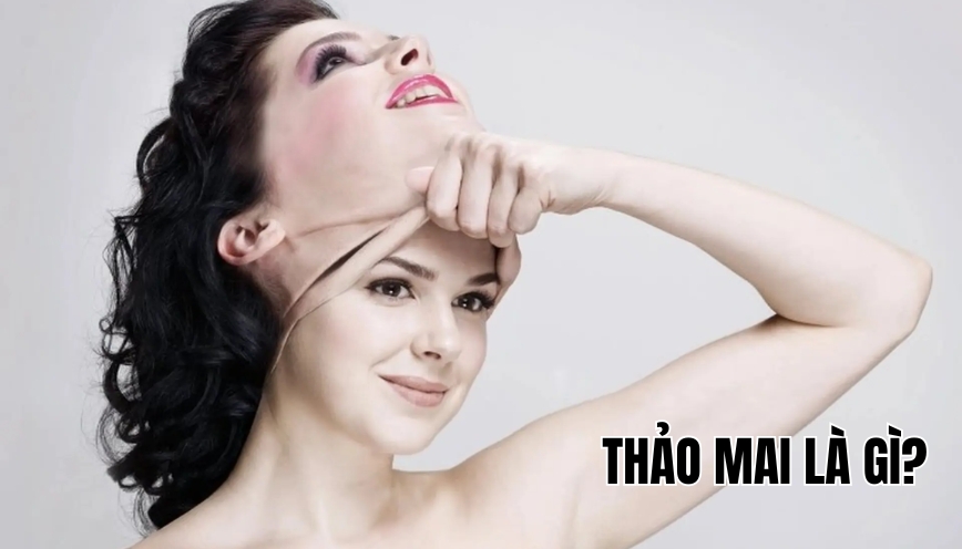 Thảo mai là gì?