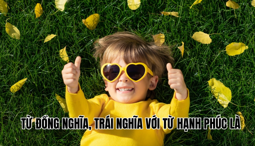 Từ đồng nghĩa, trái nghĩa với từ hạnh phúc là