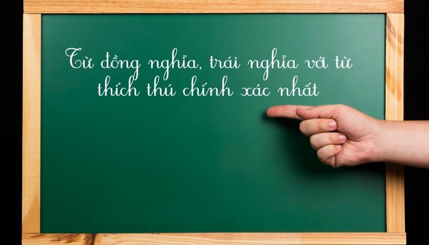 Từ đồng nghĩa, trái nghĩa với từ thích thú chính xác nhất