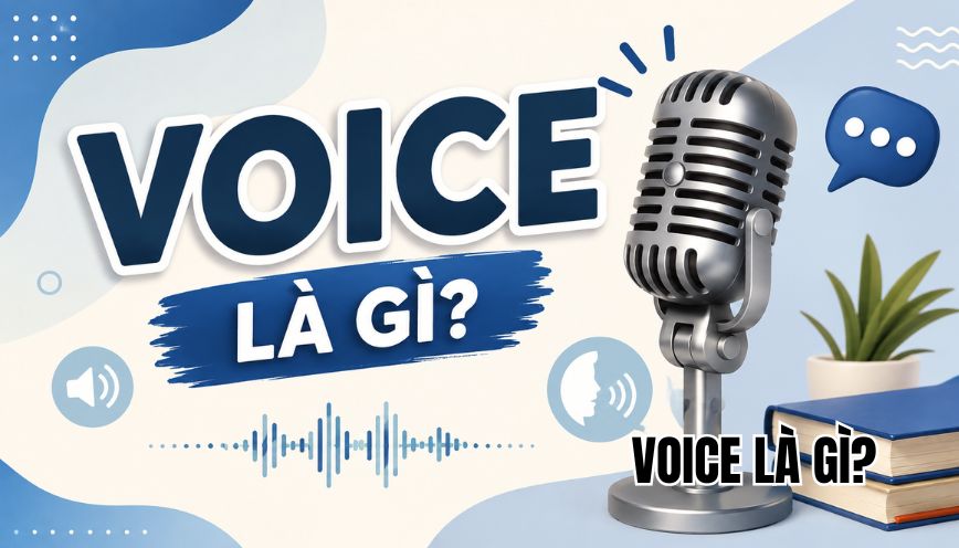 Voice là gì?