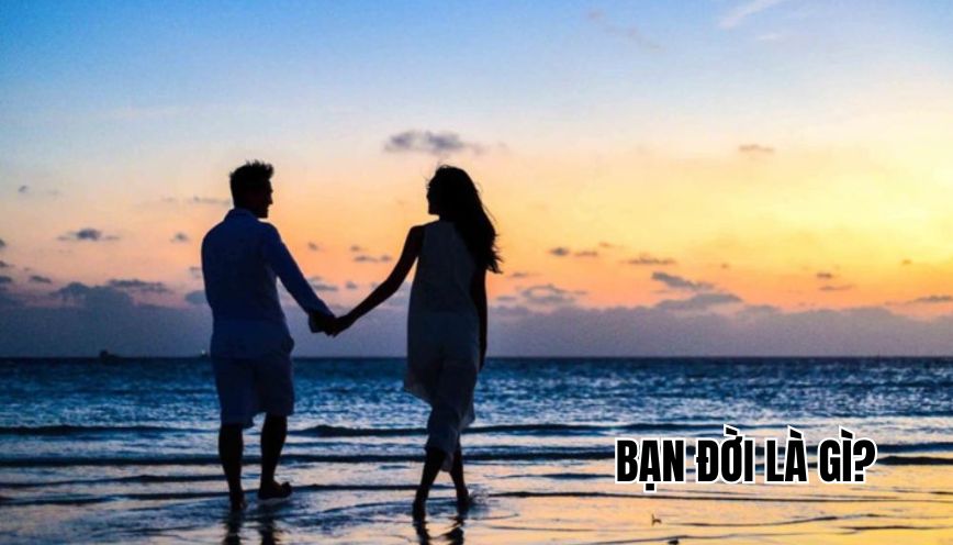 Bạn đời là gì