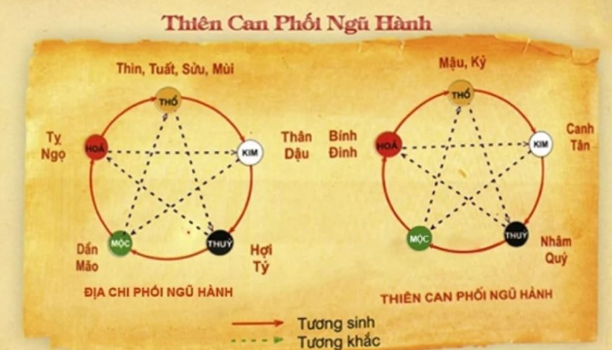 Thành phần thiên can trong một bát tự