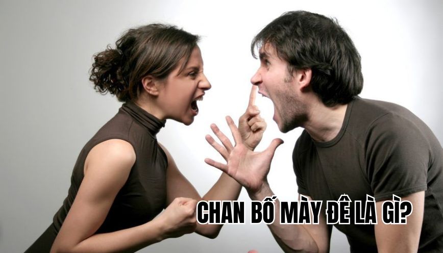 Chan bố mày đê là gì?