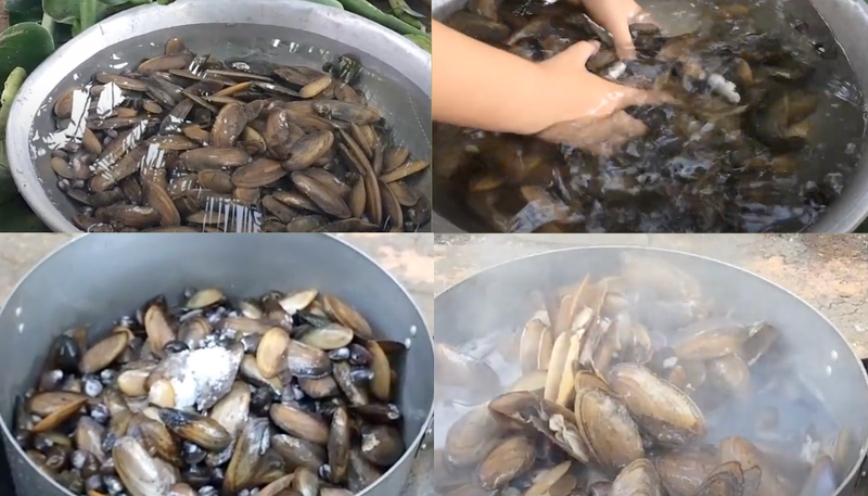 Cách sơ chế chem chép đúng cách