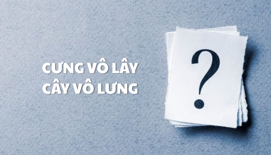 Nguồn gốc của cụm từ “cưng vô lây”