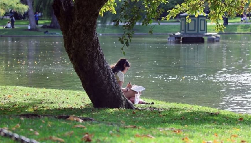 Dịu kha là gì? Cách sử dụng từ “dịu kha” và “dịu keo”