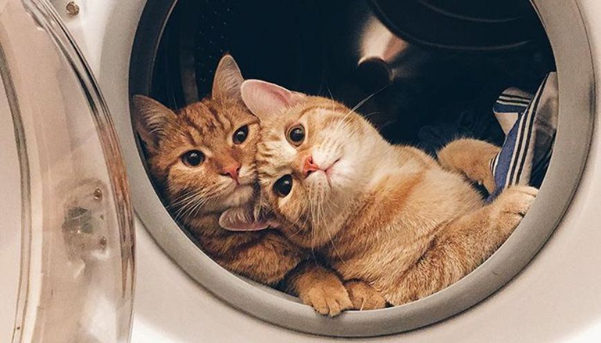 Dưỡng thê là gì? Giải mã cách nói đáng yêu của giới trẻ