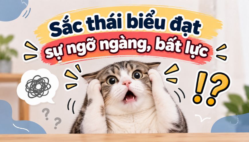 Sắc thái biểu đạt sự ngỡ ngàng, bất lực