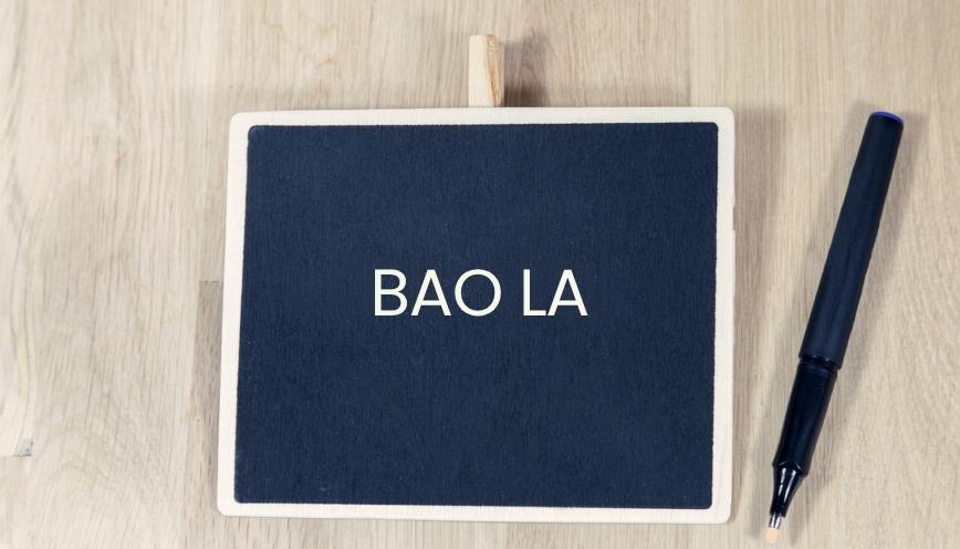 Từ đồng nghĩa, trái nghĩa với từ bao la và cách dùng chuẩn