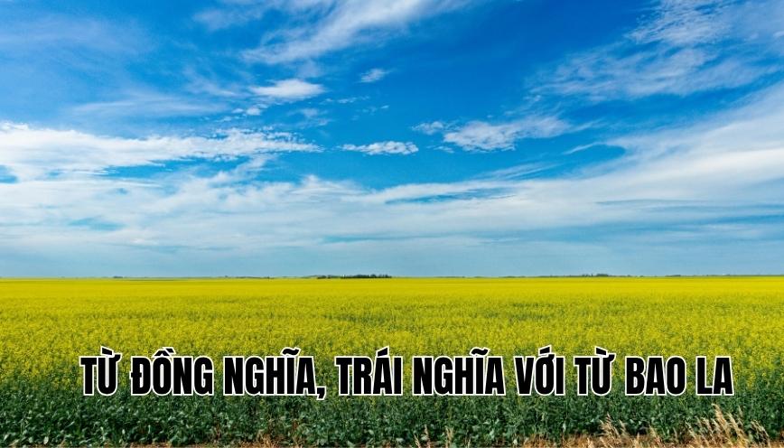 Từ đồng nghĩa, trái nghĩa với từ bao la