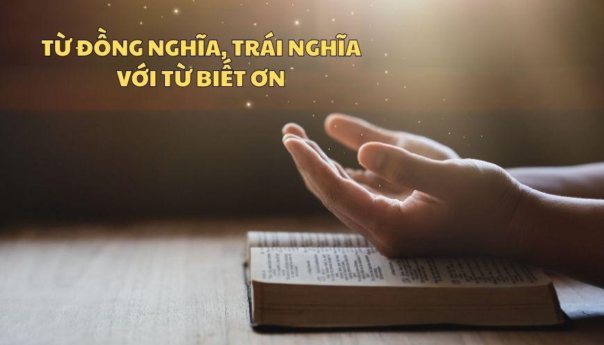 Hiểu rõ từ đồng nghĩa, trái nghĩa với từ biết ơn