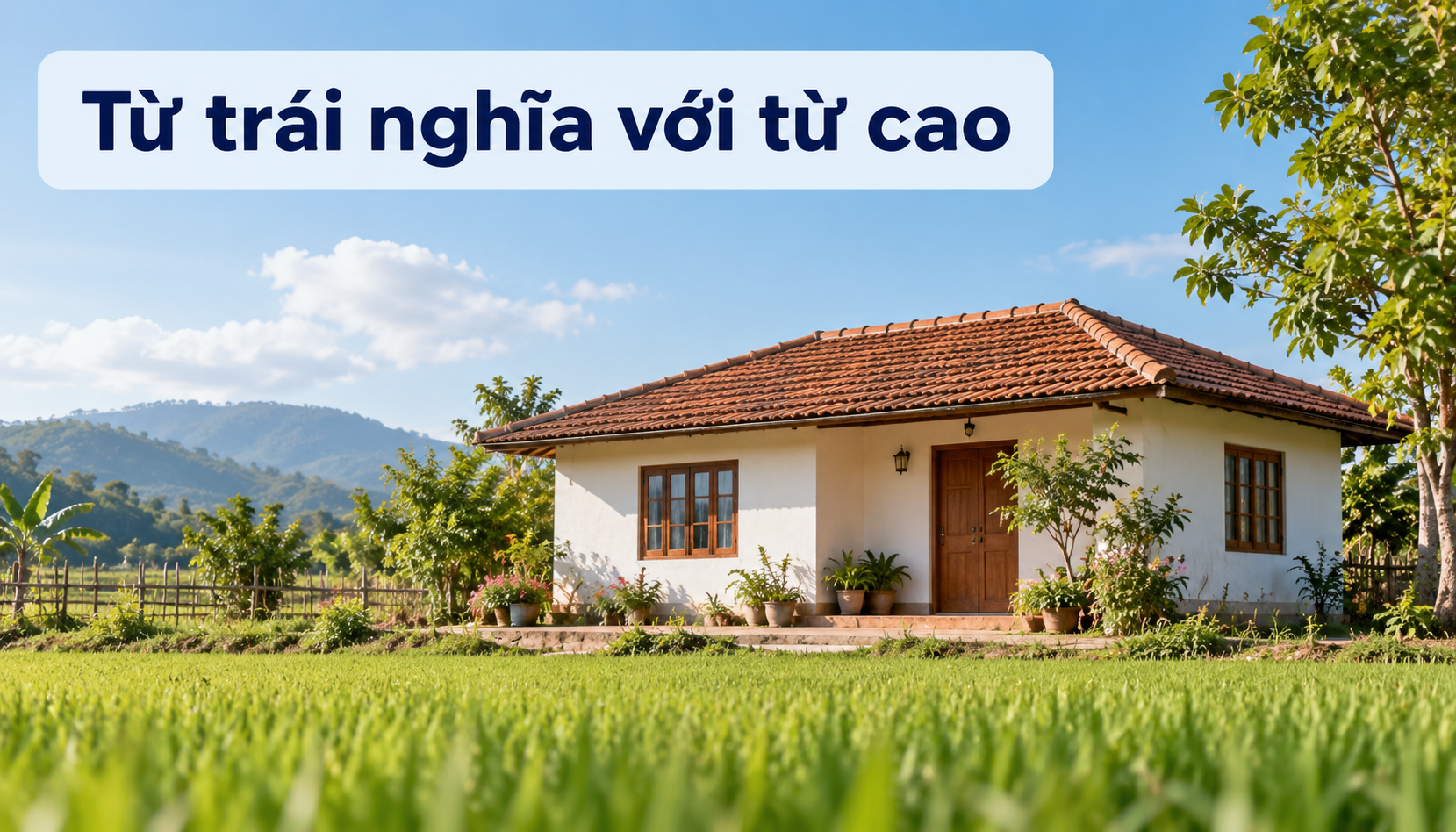 Từ trái nghĩa với từ cao