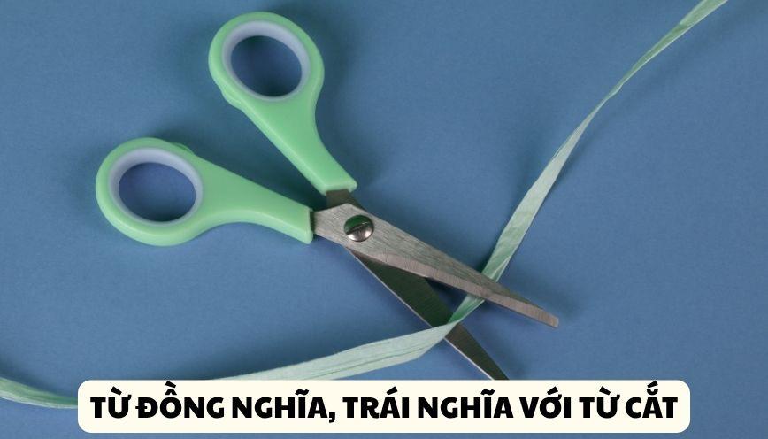 Phân biệt đúng từ đồng nghĩa, trái nghĩa với từ cắt