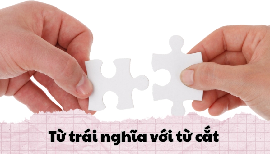 Từ trái nghĩa với từ cắt