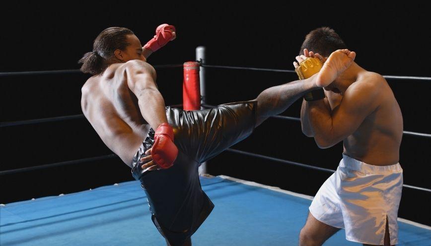 Bài tập ứng dụng từ đồng nghĩa, trái nghĩa