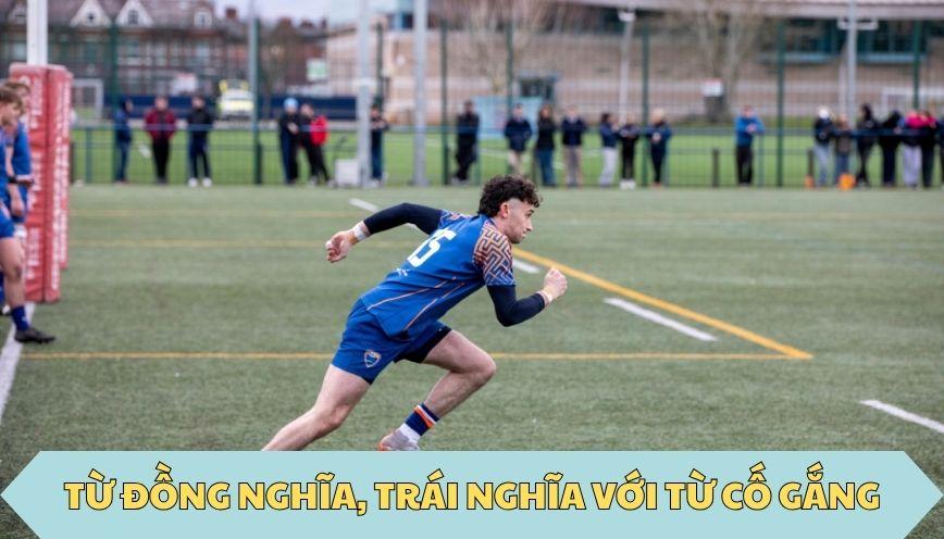 ​Từ đồng nghĩa, trái nghĩa với từ cố gắng