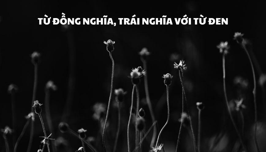 Phân biệt đúng từ đồng nghĩa, trái nghĩa với từ đen