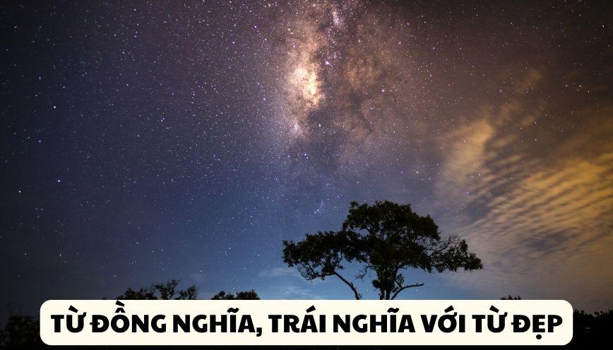 Phân biệt đúng từ đồng nghĩa, trái nghĩa với từ đẹp