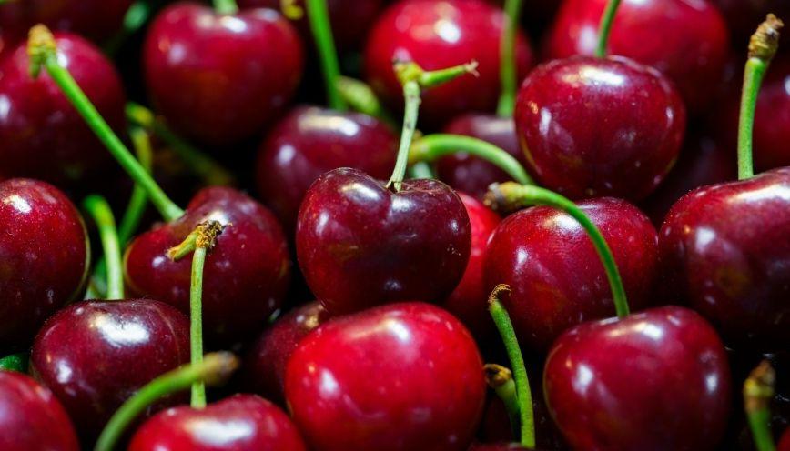 Tìm hiểu ý nghĩa của từ đỏ trong tiếng Việt