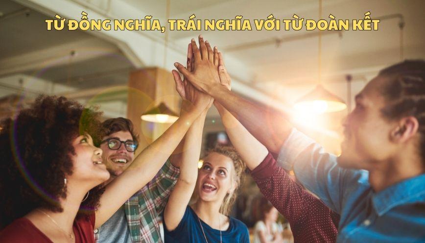Khám phá từ đồng nghĩa, trái nghĩa với từ đoàn kết
